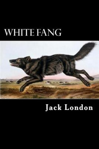 Buch White Fang Jack London