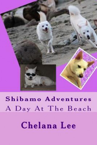 Carte Shibamo Adventures - A Day At The Beach Chelana I Lee