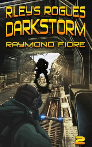 Buch Riley's Rogues: Darkstorm Raymond Fiore