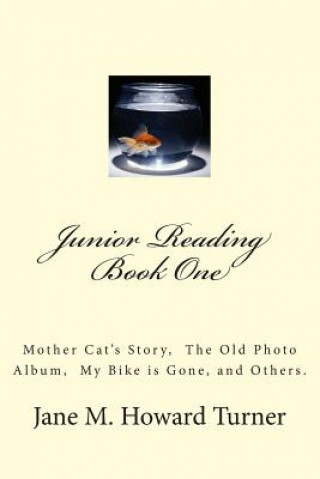 Książka Junior Reading Books: Mother Cat's Story, The Old Photo Album, My Bike is Gone, and others. Jane M Howard Turner