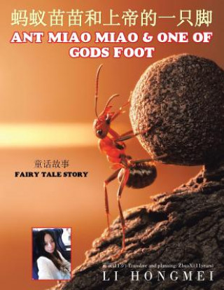 Kniha &#34434;&#34433;&#33495;&#33495;&#21644;&#19978;&#24093;&#30340;&#19968;&#21482;&#33050;: Ant Miao Miao &One of Gods Foot Li Hongmei