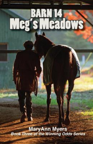 Kniha Barn 14: Meg's Meadows MaryAnn Myers