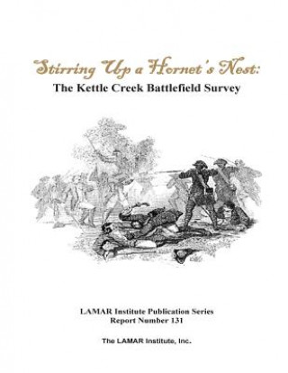 Könyv Stirring Up a Hornet's Nest: The Kettle Creek Battlefield Archaeology Study MR Daniel T Elliott