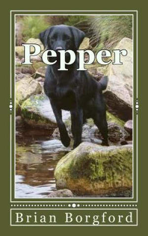 Libro Pepper: The Story of a Lost Dog Brian Borgford