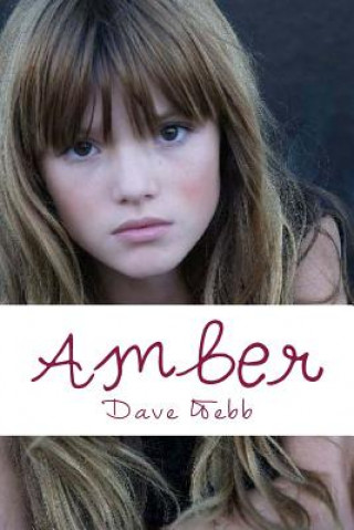 Kniha Amber Dave Webb
