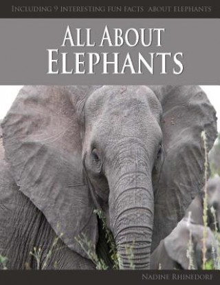 Carte All About Elephants Nadine Rhinedorf