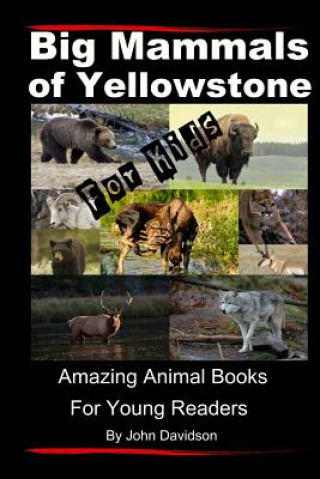 Carte Big Mammals Of Yellowstone For Kids: Amazing Animal Books for Young Readers John E Davidson