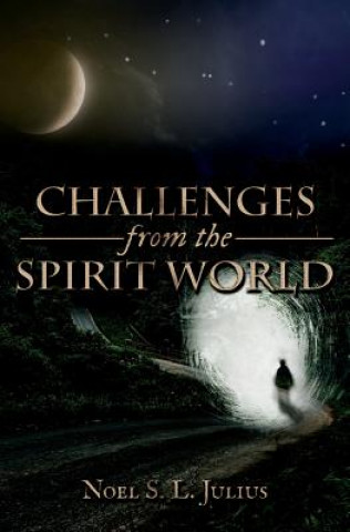 Knjiga Challenges from the Spirit World Noel S L Julius