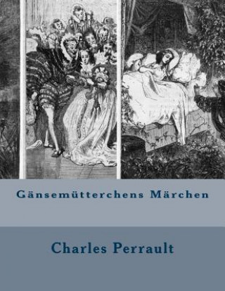 Buch Gänsemütterchens Märchen Charles Perrault