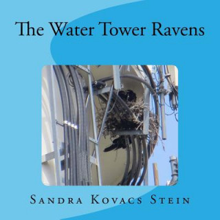Könyv The Water Tower Ravens Sandra Kovacs Stein