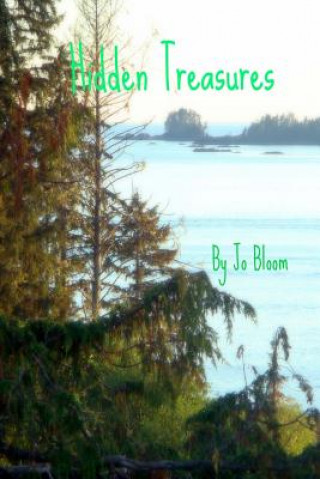 Könyv Hidden Treasures Jo Bloom