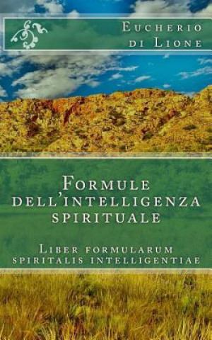 Könyv Formule dell'intelligenza spirituale: Liber formularum spiritalis intelligentiae Eucherio Di Lione