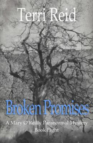 Книга Broken Promises Terri Reid