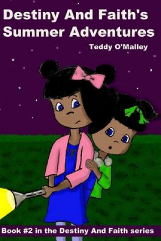 Kniha Destiny And Faith's Summer Adventures Teddy O'Malley