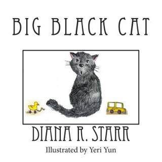 Buch Big Black Cat Diana R Starr