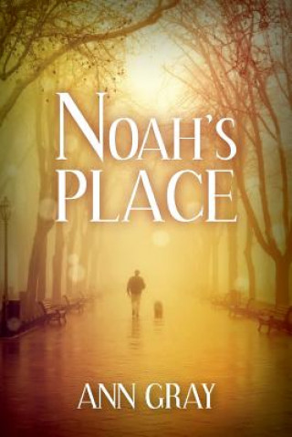 Kniha Noah's Place Ann Gray