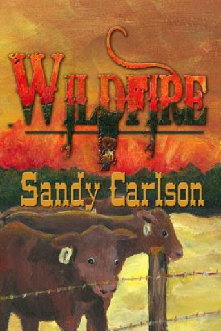 Book Wildfire Sandy Carlson