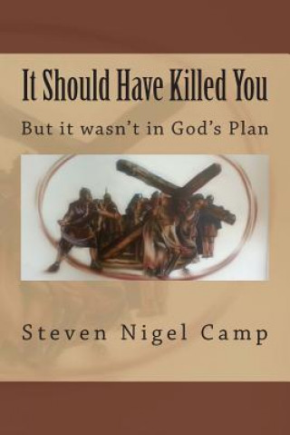 Kniha It Should Have Killed You: (But it wasn't in God's Plan) Steven Nigel Camp