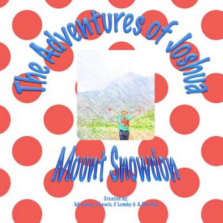 Carte The Adventures of Joshua Mount Snowdon: Mt Snowdon Mrs E Lewis