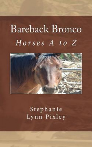 Könyv Bareback Bronco Stephanie Lynn Pixley