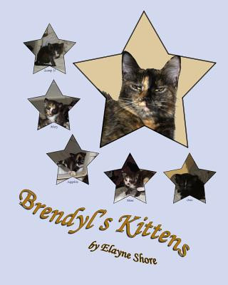 Book Brendyl's Kittens Elayne Shore