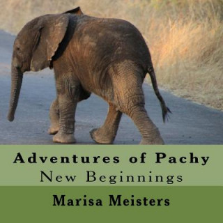 Könyv Adventures of Pachy: New Beginnings Marisa Meisters