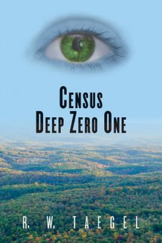Knjiga Census Deep Zero One: Sticks In Stone You're Not Alone ... R W Taegel