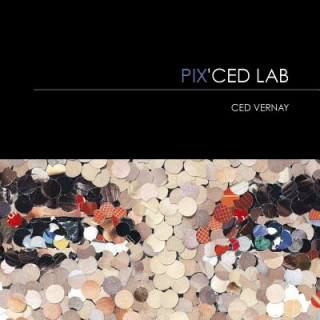 Kniha Pix' Ced Lab: Ced Vernay Cedric Vernay