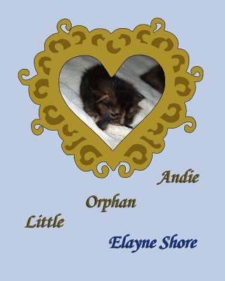 Kniha Little Orphan Andie Elayne Shore