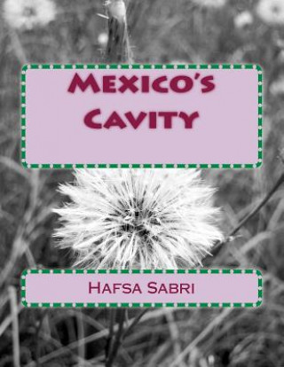 Kniha Mexico's Cavity Hafsa Sabri
