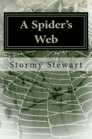 Książka A Spider's Web: Revised Stormy Stewart