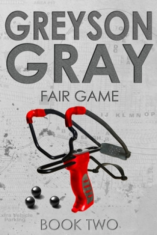 Kniha Greyson Gray: Fair Game B C Tweedt