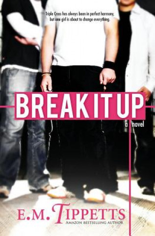 Book Break It Up E M Tippetts
