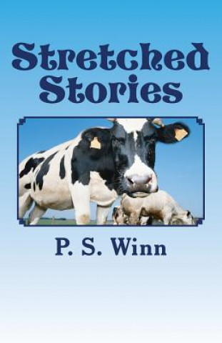 Kniha Stretched Stories P S Winn