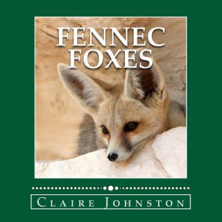 Kniha Fennec Foxes: Wily Desert Hunters (the My Favorite Animals series) Claire Johnston