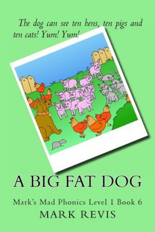 Carte A Big Fat Dog: Mark's Mad Phonics Level 1 Book 6 MR Mark Antony Revis
