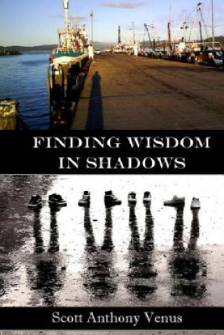Knjiga Finding Wisdom In Shadows Scott Anthony Venus