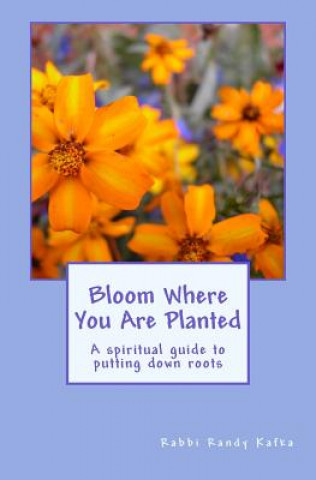 Könyv Bloom Where You Are Planted: A spiritual guide to putting down roots Randy R Kafka