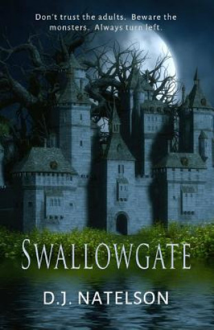 Книга Swallowgate D J Natelson