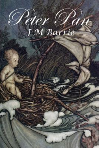 Buch Peter Pan: The Boy Who Wouldn't Grow Up J M Barrie