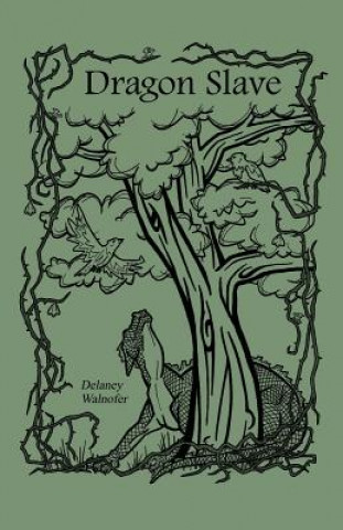 Book Dragon Slave Delaney Walnofer