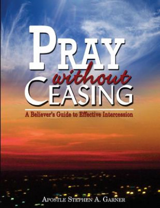Boek Pray Without Ceasing: A Believer's Guide to Effective Intercession Stephen a Garner