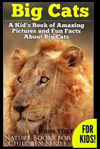 Kniha Big Cats! A Kid's Book of Amazing Pictures and Fun Facts About Big Cats: Lions Tigers and Leopards John Yost