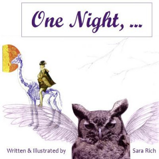 Kniha One Night Sara Rich