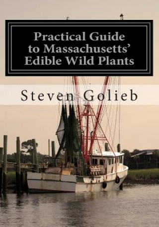 Kniha Practical Guide to Massachusetts' Edible Wild Plants Steven C Golieb