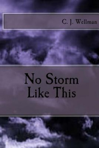 Buch No Storm Like This C J Wellman