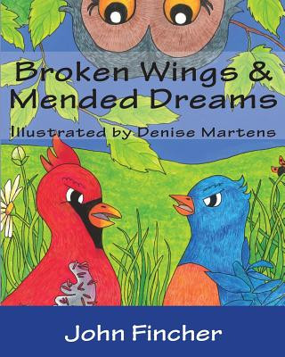 Książka Broken Wings & Mended Dreams John Fincher