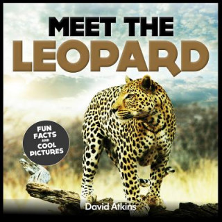 Carte Meet The Leopard: Fun Facts & Cool Pictures David Atkins