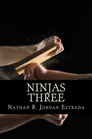 Buch Ninjas Three Nathan R Jordan Estrada