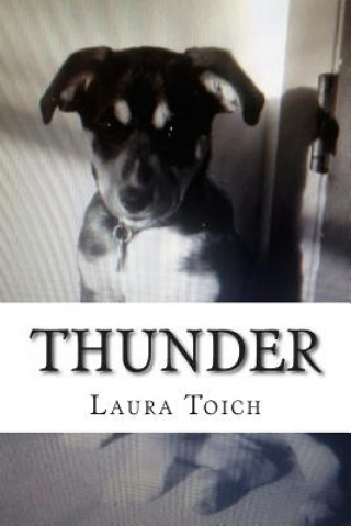 Knjiga Thunder Laura Toich